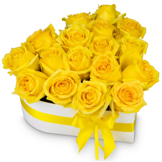 Květinový box růží